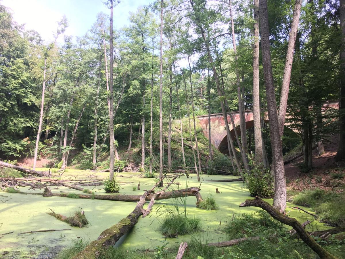 Domek Debowy 2 Lubniewice Bagian luar foto